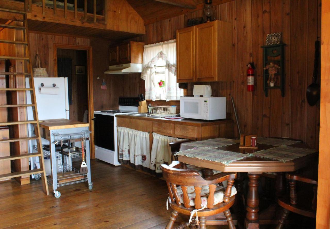 Berry Creek Cabins Isabel Exterior photo